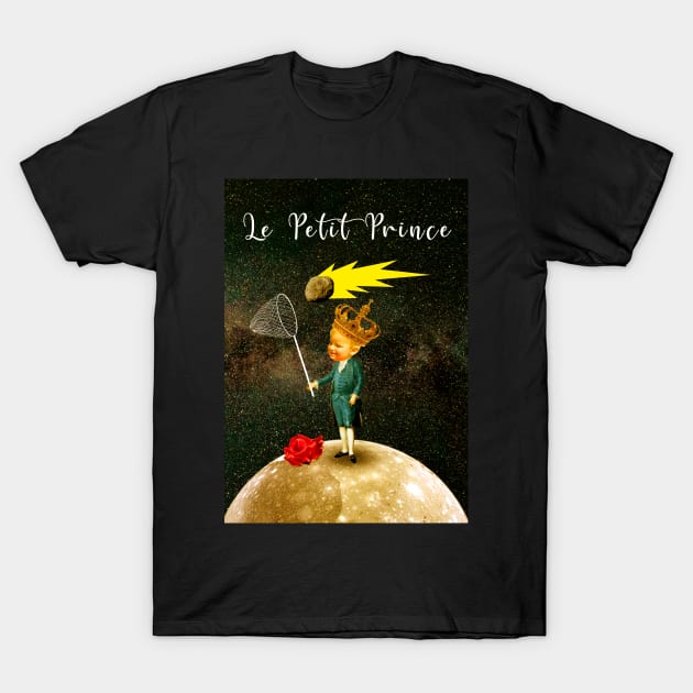 Le Petit Prince T-Shirt by lucamendieta